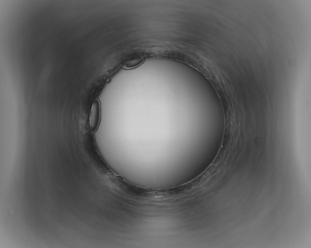 X0000112070750200908040950