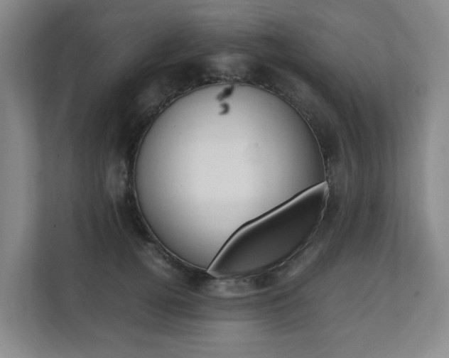 X0000112070752200908040950
