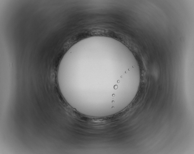 X0000112070753200908040950