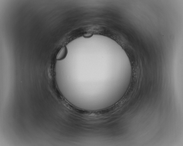 X0000112070755200908040950