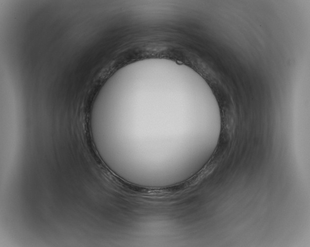 X0000112070758200908040950