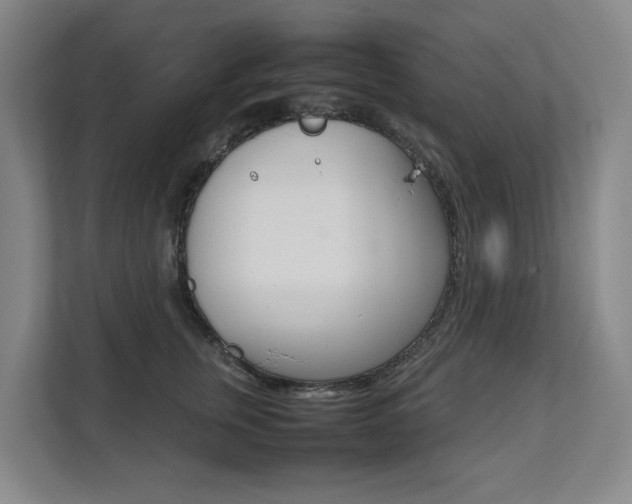 X0000112070759200908040950