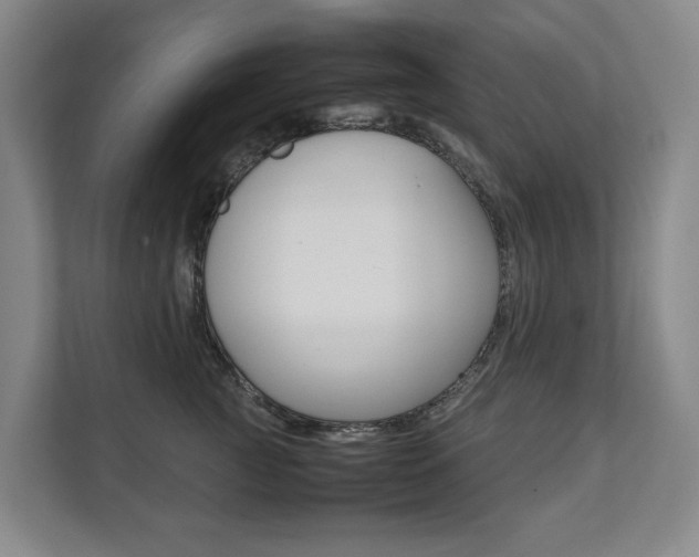 X0000112070761200908040950