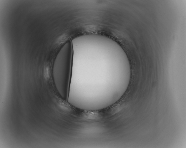 X0000112070768200908040950