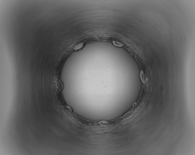 X0000112070772200908040950