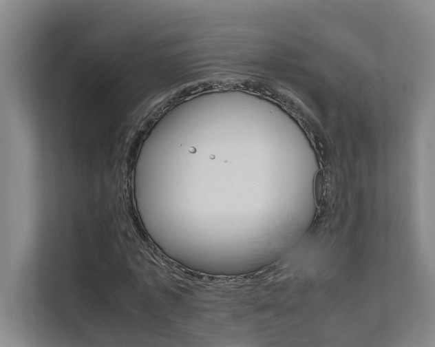 X0000112070773200908040950