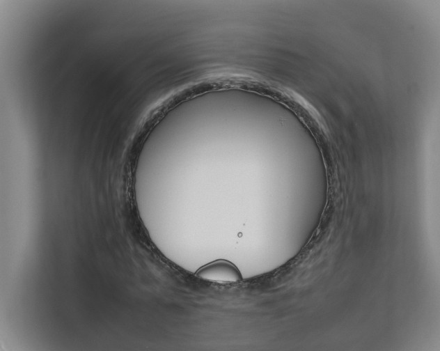 X0000112070775200908040950
