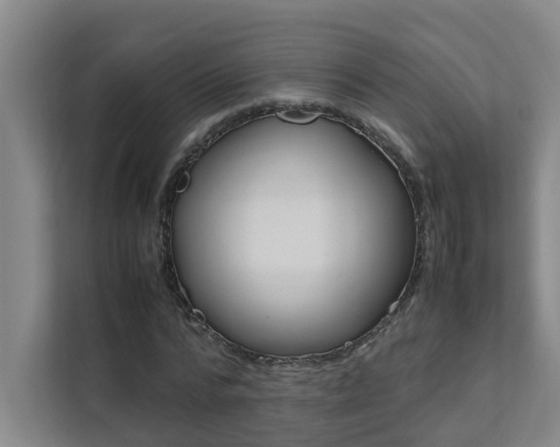 X0000112070776200908040950