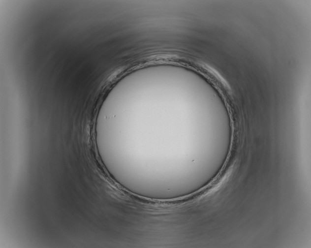 X0000112070777200908040950