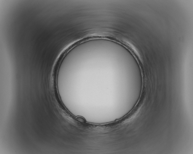X0000112070779200908040950