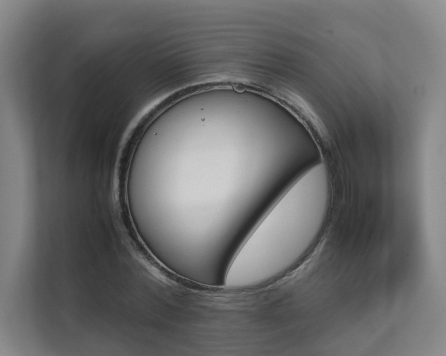 X0000112070780200908040950