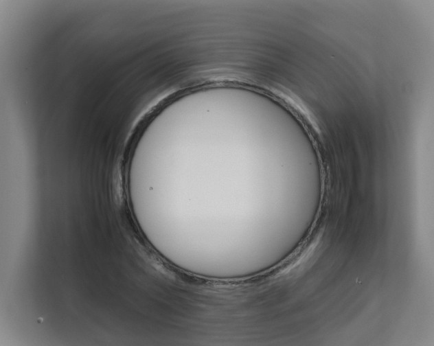 X0000112070782200908040950