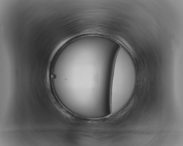 X0000112070788200908040950