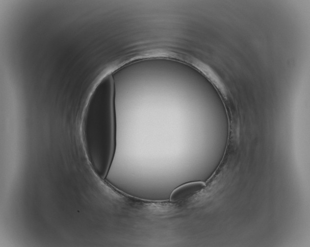X0000112070805200908040949