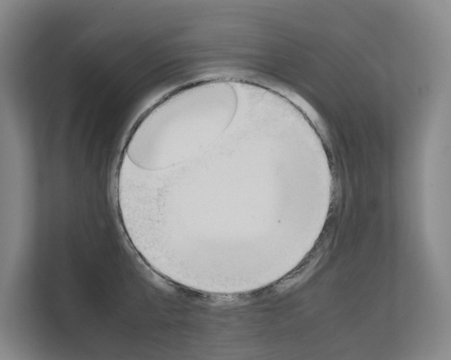 X0000112070807200908040949