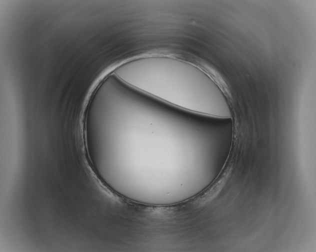 X0000112070808200908040949