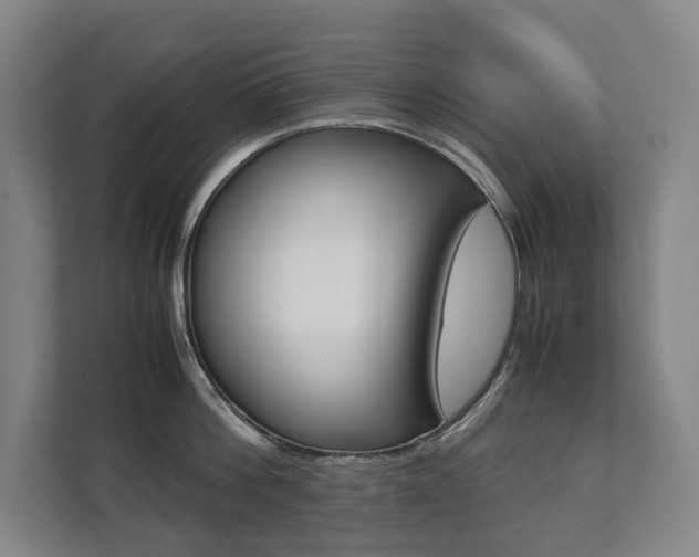 X0000112070812200908040949