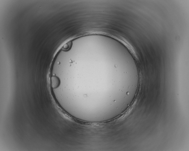 X0000112070814200908040949