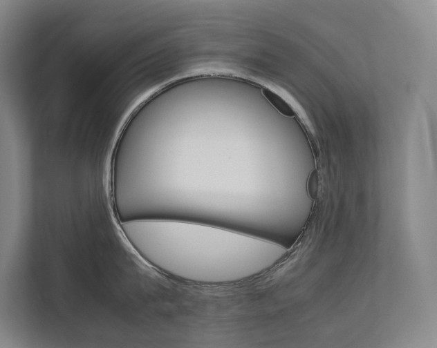 X0000112070815200908040949