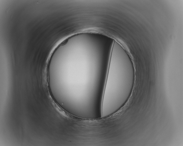 X0000112070816200908040949