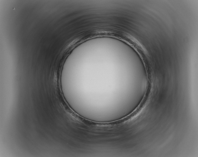 X0000112070825200908040949