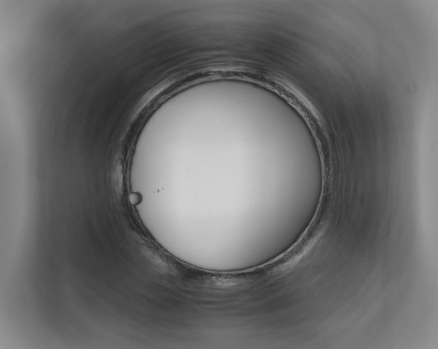 X0000112070829200908040949