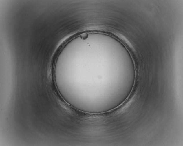 X0000112070830200908040949