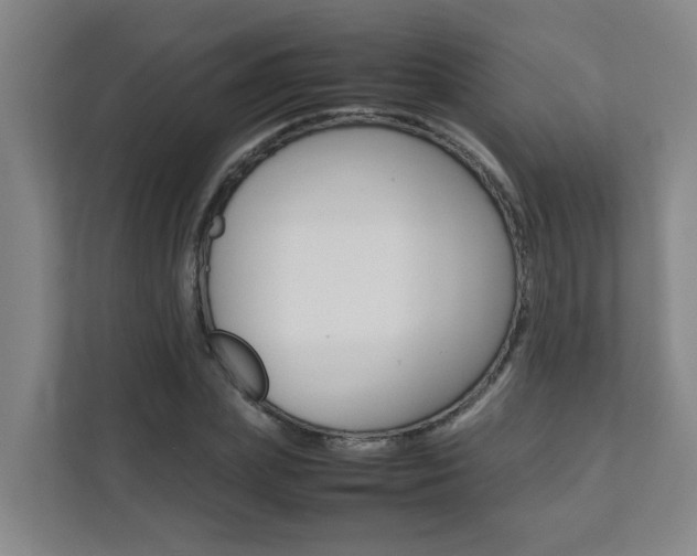X0000112070831200908040949