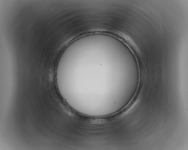 X0000112070833200908040949