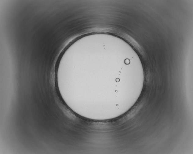 X0000112070836200908040949