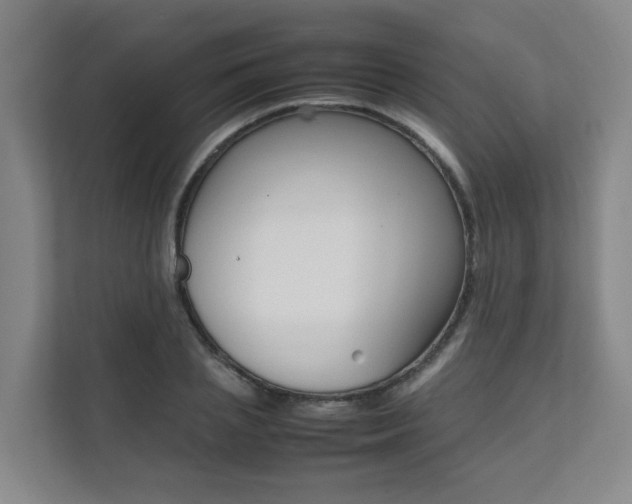 X0000112070837200908040949