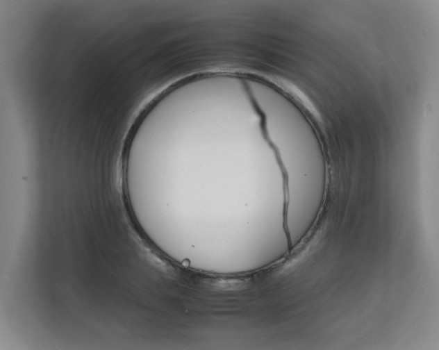X0000112070839200908040949