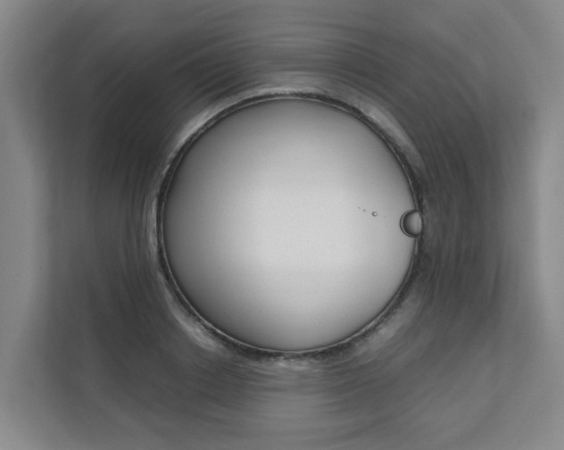 X0000112070842200908040949