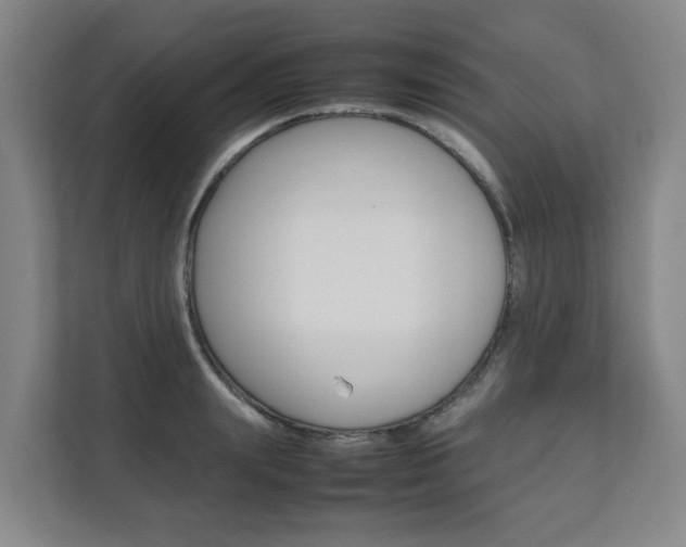 X0000112070847200908040949
