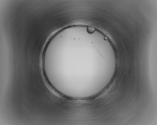 X0000112070848200908040949