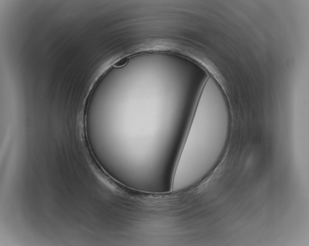 X0000112070850200908040949