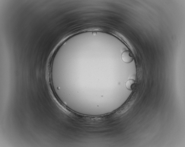 X0000112070851200908040949