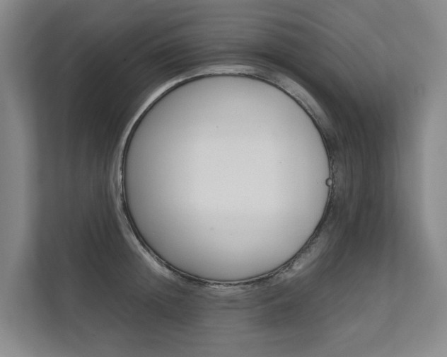 X0000112070852200908040949