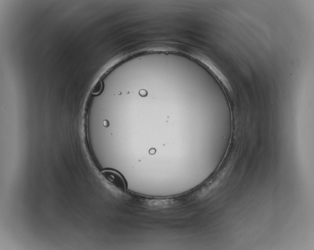 X0000112070853200908040949