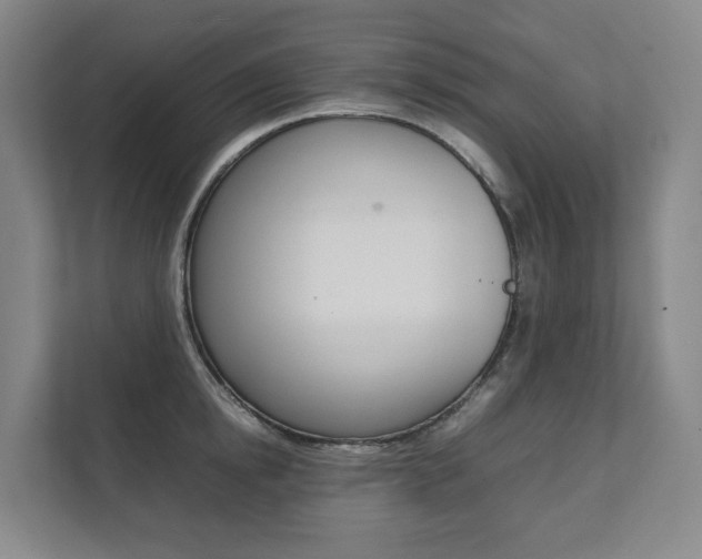 X0000112070854200908040949