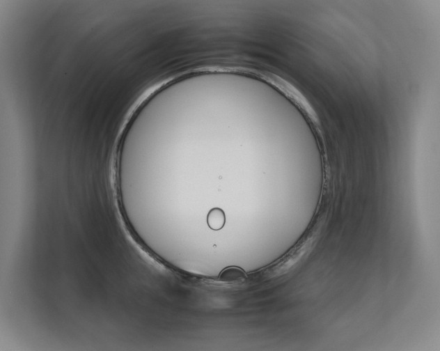 X0000112070855200908040949