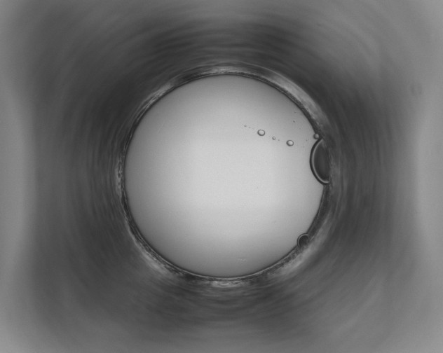 X0000112070857200908040949