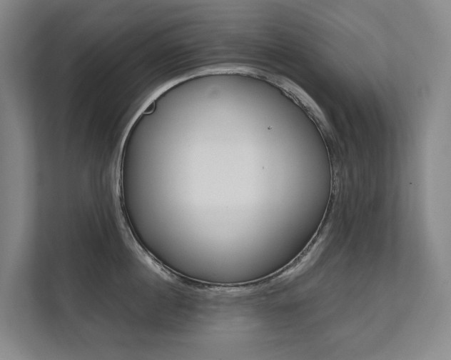 X0000112070860200908040949
