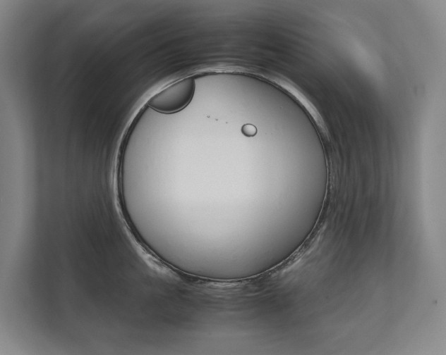 X0000112070861200908040949