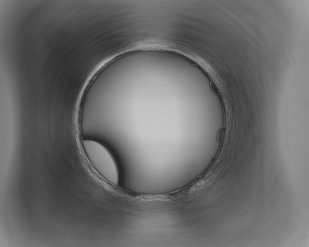 X0000112070864200908040949