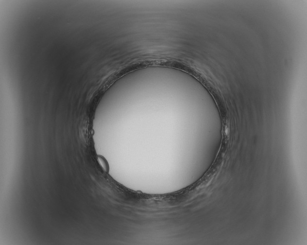 X0000112070867200908040948
