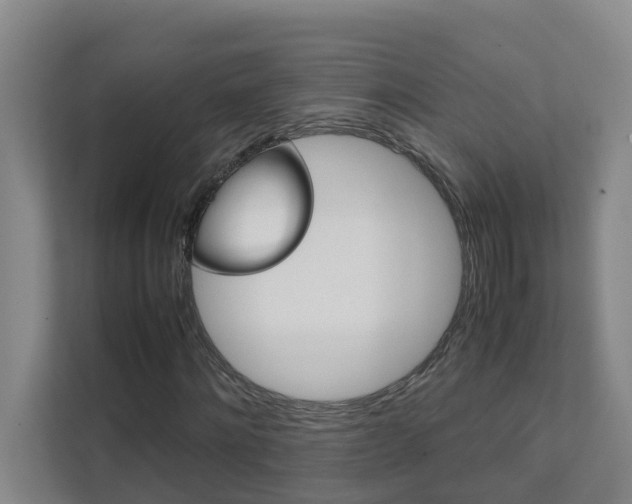 X0000112070868200908040948