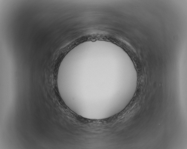 X0000112070869200908040948