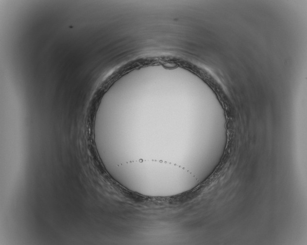X0000112070871200908040948