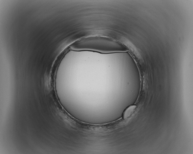 X0000112070876200908040948